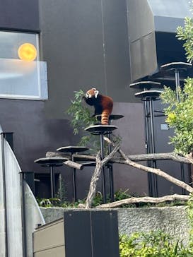 名古屋市東山動植物園に投稿された画像（2023/11/23）