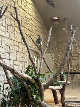 名古屋市東山動植物園に投稿された画像（2023/11/23）