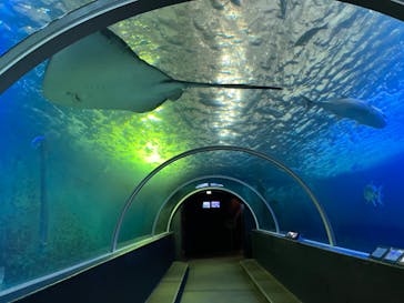 串本海中公園水族館に投稿された画像（2023/11/23）
