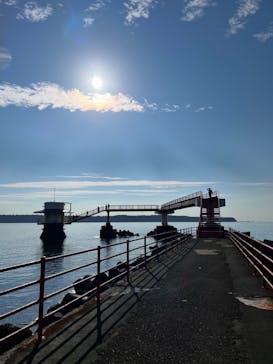 串本海中公園水族館に投稿された画像（2023/11/23）