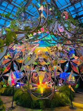 京成バラ園に投稿された画像（2023/11/23）