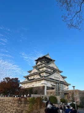 大阪城天守閣に投稿された画像（2023/11/23）