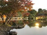 国営昭和記念公園 秋の夜散歩に投稿された画像（2023/11/23）