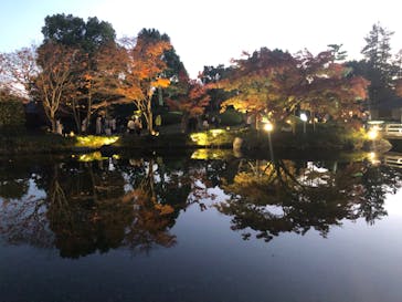 国営昭和記念公園 秋の夜散歩に投稿された画像（2023/11/23）