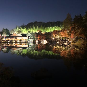 国営昭和記念公園 秋の夜散歩に投稿された画像（2023/11/23）