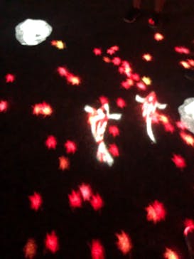 国営昭和記念公園 秋の夜散歩に投稿された画像（2023/11/23）