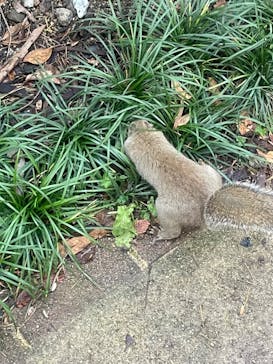 那須どうぶつ王国に投稿された画像（2023/11/23）