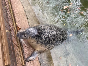 那須どうぶつ王国に投稿された画像（2023/11/23）