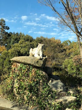 群馬サファリパークに投稿された画像（2023/11/23）