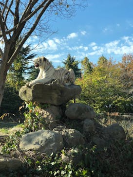 群馬サファリパークに投稿された画像（2023/11/23）