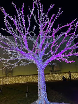 東京メガイルミに投稿された画像（2023/11/23）