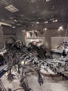 国立科学博物館に投稿された画像（2023/11/23）