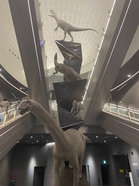 福井県立恐竜博物館に投稿された画像（2023/11/23）