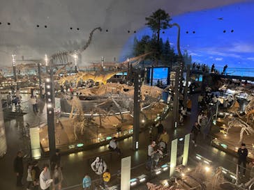 福井県立恐竜博物館に投稿された画像（2023/11/23）