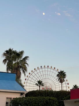 淡路ワールドパークONOKOROに投稿された画像（2023/11/23）