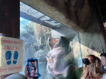 天王寺動物園に投稿された画像（2023/11/23）