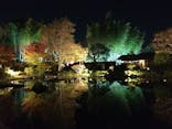 国営昭和記念公園 秋の夜散歩に投稿された画像（2023/11/23）