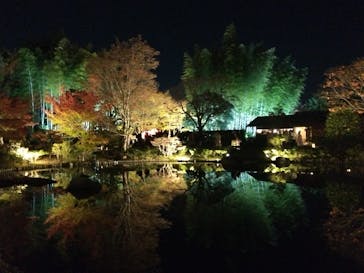 国営昭和記念公園 秋の夜散歩に投稿された画像（2023/11/23）