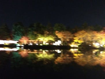 国営昭和記念公園 秋の夜散歩に投稿された画像（2023/11/23）