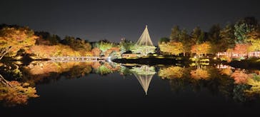 国営昭和記念公園 秋の夜散歩に投稿された画像（2023/11/23）
