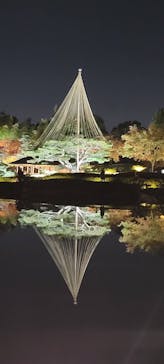 国営昭和記念公園 秋の夜散歩に投稿された画像（2023/11/23）