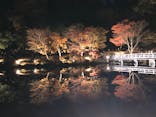 国営昭和記念公園 秋の夜散歩に投稿された画像（2023/11/23）