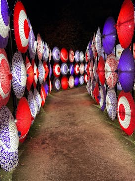 国営昭和記念公園 秋の夜散歩に投稿された画像（2023/11/23）