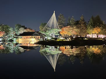 国営昭和記念公園 秋の夜散歩に投稿された画像（2023/11/23）