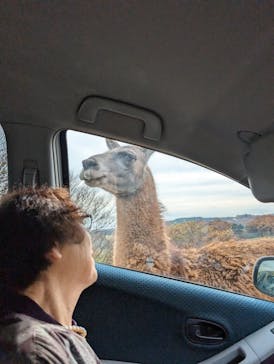 東北サファリパークに投稿された画像（2023/11/23）