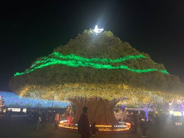 東京メガイルミに投稿された画像（2023/11/23）