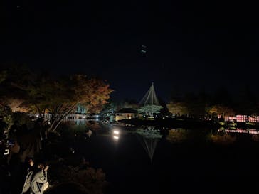 国営昭和記念公園 秋の夜散歩に投稿された画像（2023/11/23）