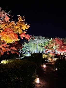 国営昭和記念公園 秋の夜散歩に投稿された画像（2023/11/23）