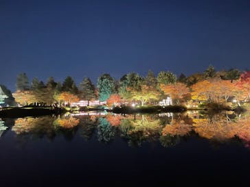 国営昭和記念公園 秋の夜散歩に投稿された画像（2023/11/23）