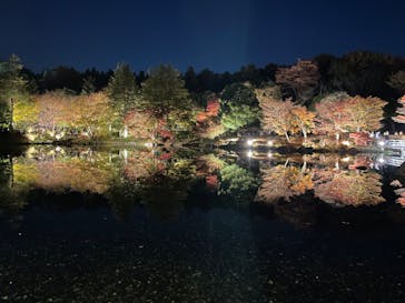 国営昭和記念公園 秋の夜散歩に投稿された画像（2023/11/23）