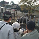 名古屋市東山動植物園に投稿された画像（2023/11/23）