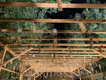 国営昭和記念公園 秋の夜散歩に投稿された画像（2023/11/23）