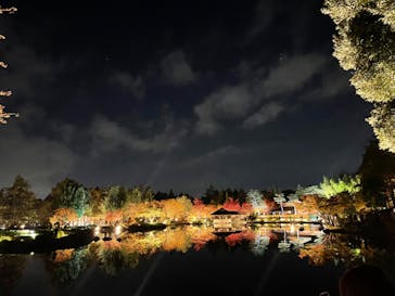 国営昭和記念公園 秋の夜散歩に投稿された画像（2023/11/23）