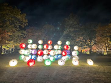 国営昭和記念公園 秋の夜散歩に投稿された画像（2023/11/23）