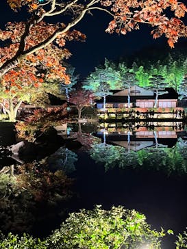 国営昭和記念公園 秋の夜散歩に投稿された画像（2023/11/23）