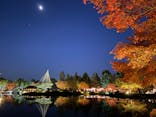 国営昭和記念公園 秋の夜散歩に投稿された画像（2023/11/23）