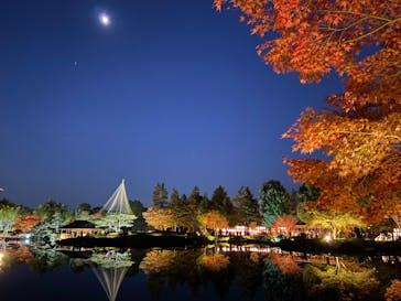 国営昭和記念公園 秋の夜散歩に投稿された画像（2023/11/23）
