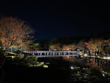 国営昭和記念公園 秋の夜散歩に投稿された画像（2023/11/23）