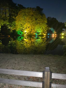 NAKED 紅葉の新宿御苑2023に投稿された画像（2023/11/23）