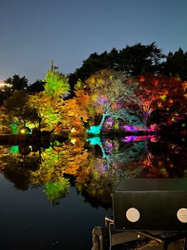 NAKED 紅葉の新宿御苑2023に投稿された画像（2023/11/23）