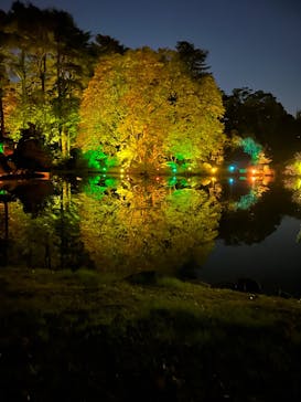 NAKED 紅葉の新宿御苑2023に投稿された画像（2023/11/23）