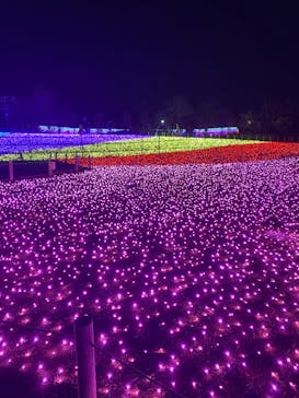 東武動物公園に投稿された画像（2023/11/23）