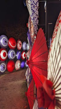 国営昭和記念公園 秋の夜散歩に投稿された画像（2023/11/23）