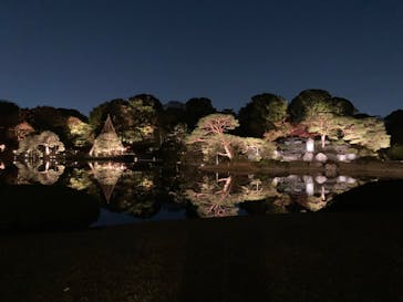 六義園に投稿された画像（2023/11/23）