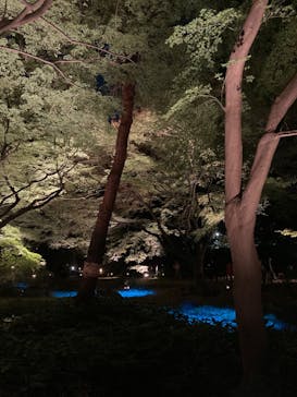 六義園に投稿された画像（2023/11/23）