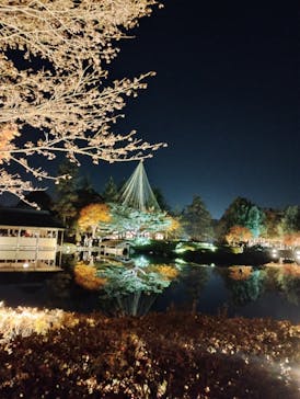 国営昭和記念公園 秋の夜散歩に投稿された画像（2023/11/23）